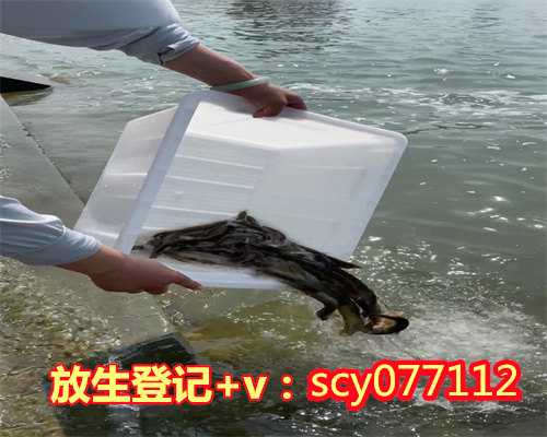 陕西哪里放生虾，陕西榆林市龙岩寺成科技示范户