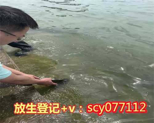 云南湖的甲鱼要放生吗